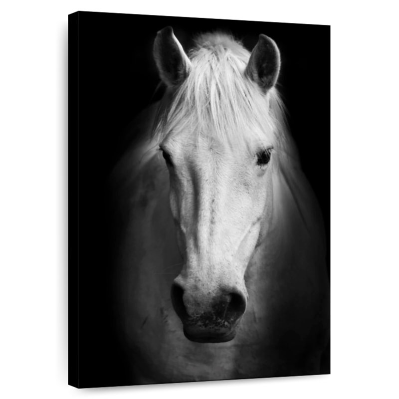 Brampt White Thoroughbred Horse, 45" H x 30" W