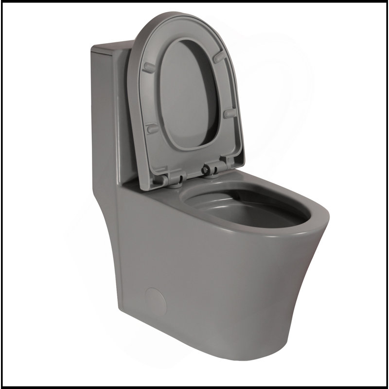 Toilette allongée une pièce matte à double chasse 1,1 / 1,6 GPF, Matte Grey Matte
