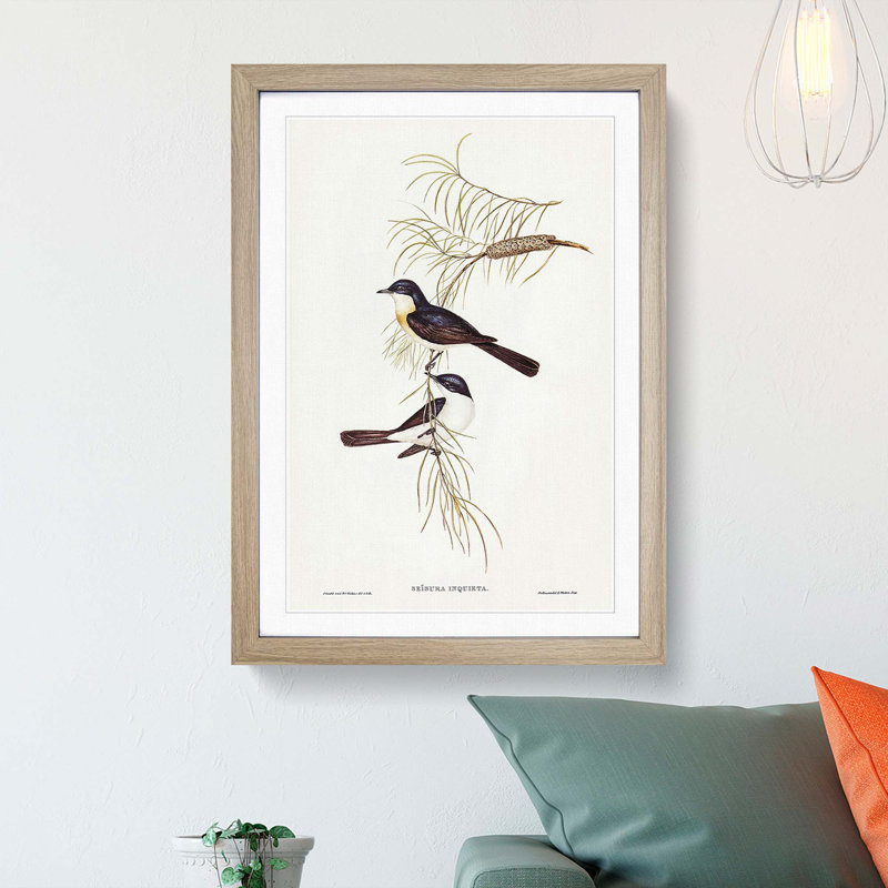 Restless Flycatcher Birds by Elizabeth Gould - Picture Frame Painting Print, 48cm H x 36cm W x 2cm D, Oak Framed