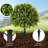 2-Pack 24-Inch Artificial Eucalyptus Shrub with Ground Stakes, UV-Resistant Faux Plant for Indoor Outdoor Planters and Garden Decor, Green-1521607243