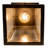 Roylance Steel Armed Sconce