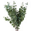 Pack of 6 Artificial Eucalyptus Foliage-127420400-127420406