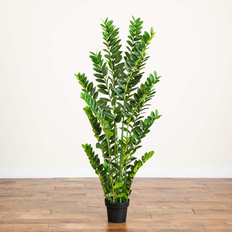 Artificial Zamioculcas Plant, 60" H x 16" W x 16" D