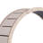 Cat Exercise Wheel For Indoor Cats