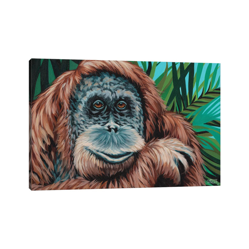 Jungle Monkey I by Carolee Vitaletti - Wrapped Canvas Painting, 20.32 cm H x 30.48 cm W