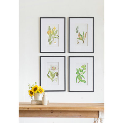 Of 4 Flower Wall Accents, 20" X 28", Home Decor For All Spaces, Classic Look, Nature Design 4 Botanical Artworks, 20 By 28 Inches, Living, Dining, Bed