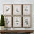 Floral Botanical Study - 6 Piece Single Picture Frame Print