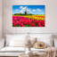 Champ de tulipes Alvord Holland-108730844