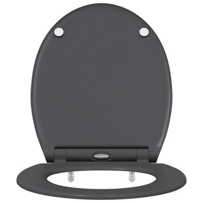 Anthracite Plastic Standard Adjustable Armrests Toilet Seat