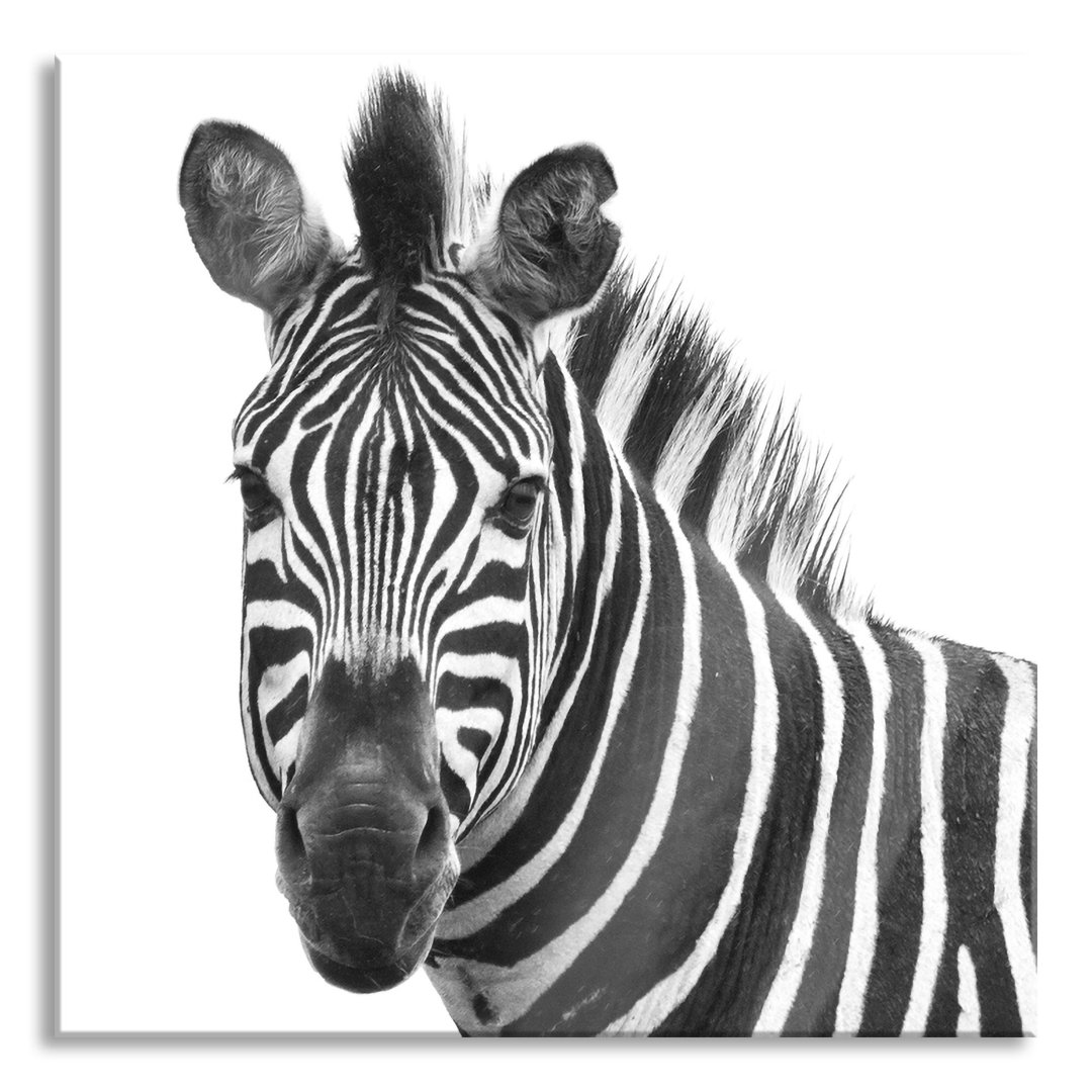 Glasbild "Zebra Im Portrait"