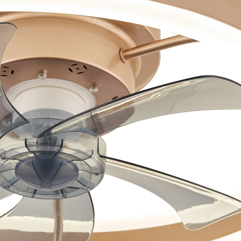 Delorse 20'' Flush Mount Ceiling Fan with LED Lights and Remote Control