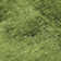 Premium Machine Washable Cerrito AMF554 Green Rug