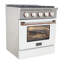 30" 4.2 cu. ft. Freestanding Gas Range with Convection Oven-73306197-73306196