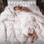 Luxurious Hotel Snuggledown Signature Goose Feather & Down Duvet 10.5 Tog All Year Summer & Winter Cotton Cover-50875968