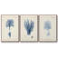 Corail antique en bleu marine IV, ensemble de 3 toiles encadrées-97760142-97760137