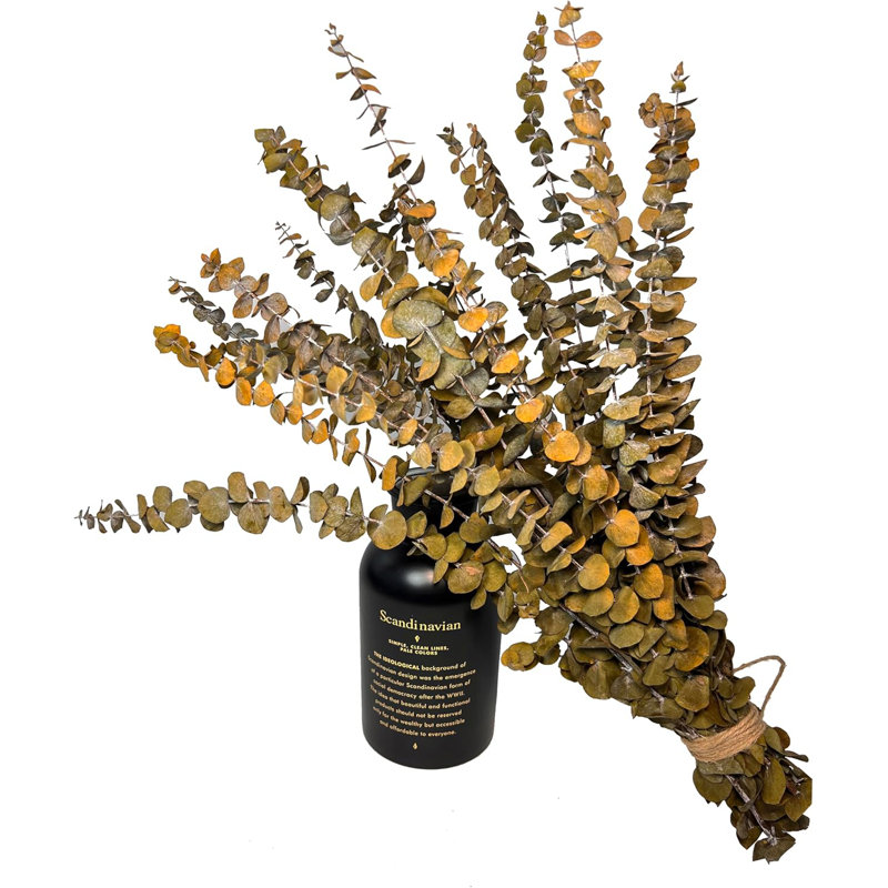 Jaune véritable eucalyptus pour vases