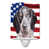 Bluetick Coonhound