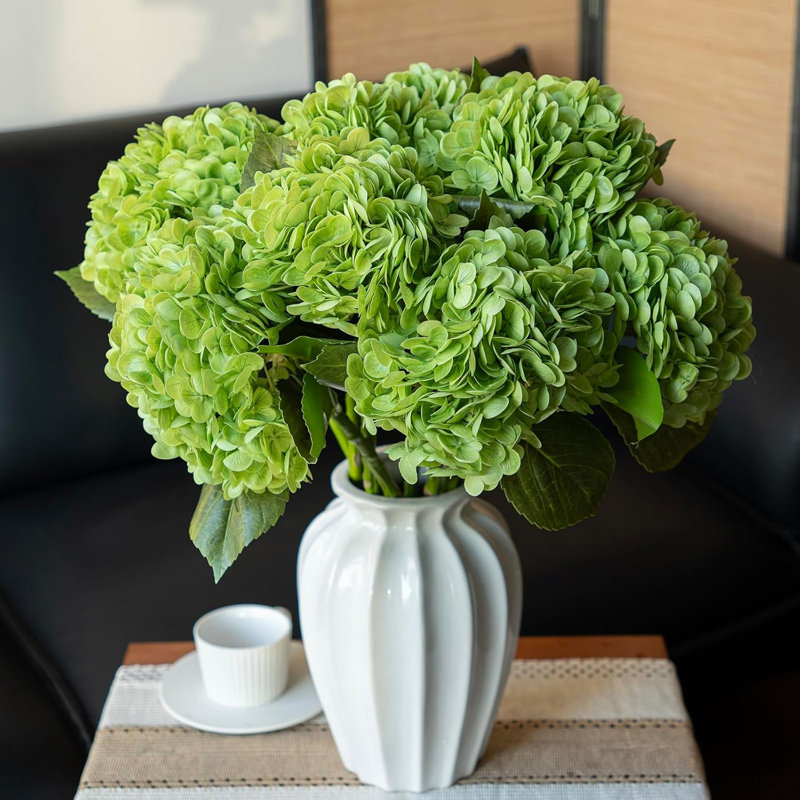hydrangea