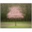Pretty in Pink by Laura Zimmerman - Framed Wall Art-909087134-909087121