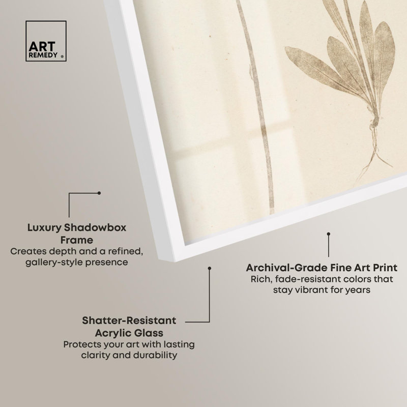 «Two Stems Shadowbox Print», art botanique par Art Remedy, H 31 po x l 21 po, Blanc