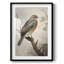 Vintage Animal Print VI - Imprimé encadré-644316724
