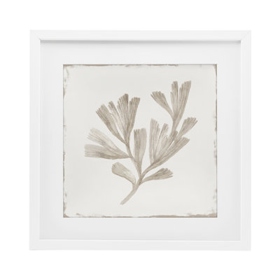 Coral Reef Drift Framed Print Under Glass, design by Lily K.