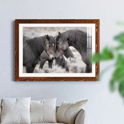 Chevaux sauvages - Photographie avec cadre photo