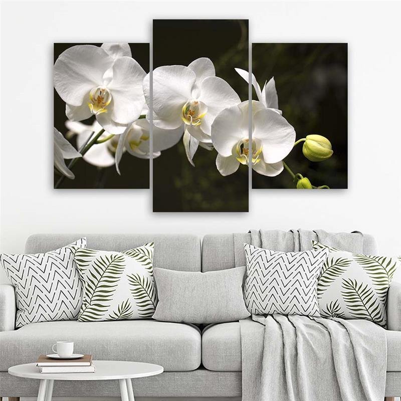 3-tlg. Leinwandbilder-Set White Orchid