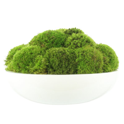 5" Artificial Moss Plant in Planter