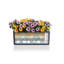 Balconera Window Box Planter-16493010-16493008