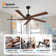 Baun 5-Blade Indoor Ceiling Fan with Remote