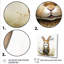 «Delight Plump Nursery Rabbit Portrait II», art mural de chambre de bébé-913801929-913801927