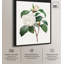 Toile de camélia blanc par Art Remedy-112532909-112532910-113420531