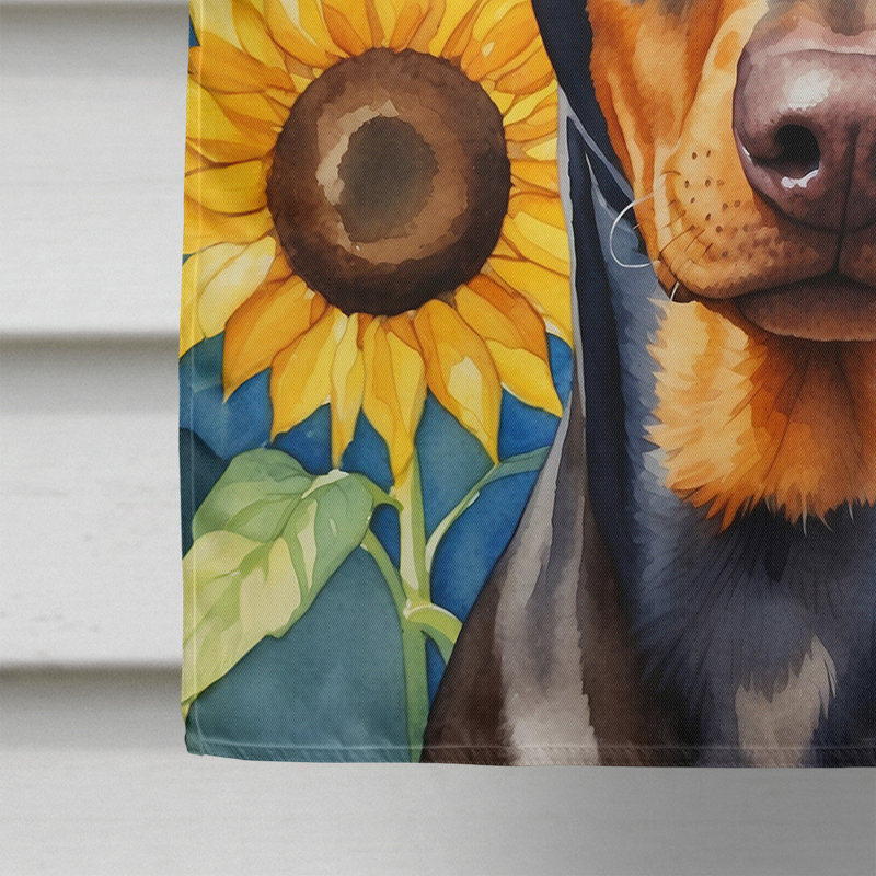 Drapeau de la maison du tournesol Malamute d'Alaska, Doberman pinscher