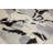 Vera Abstract Small Wonder Area Rug-1643007304