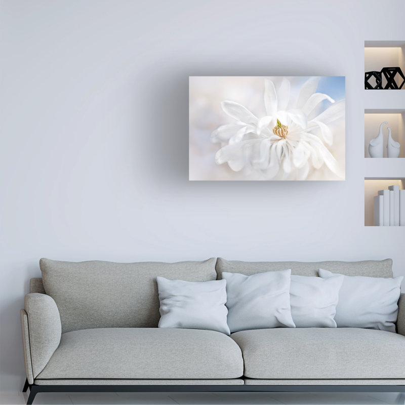 Jacky Parker  Magnolia Stellarta Canvas Art, H 16 po x l 24 po x P 2 po