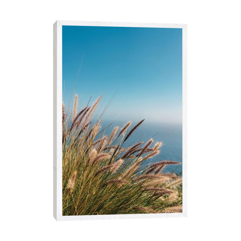 Wild Big Sur II by Bethany Young - Print on Canvas, White Framed, 66.04cm H x 45.72cm W x 3.81cm D