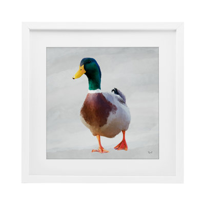 Mallard Duck Squawking Framed Print Under Glass, design by Renel Peters
