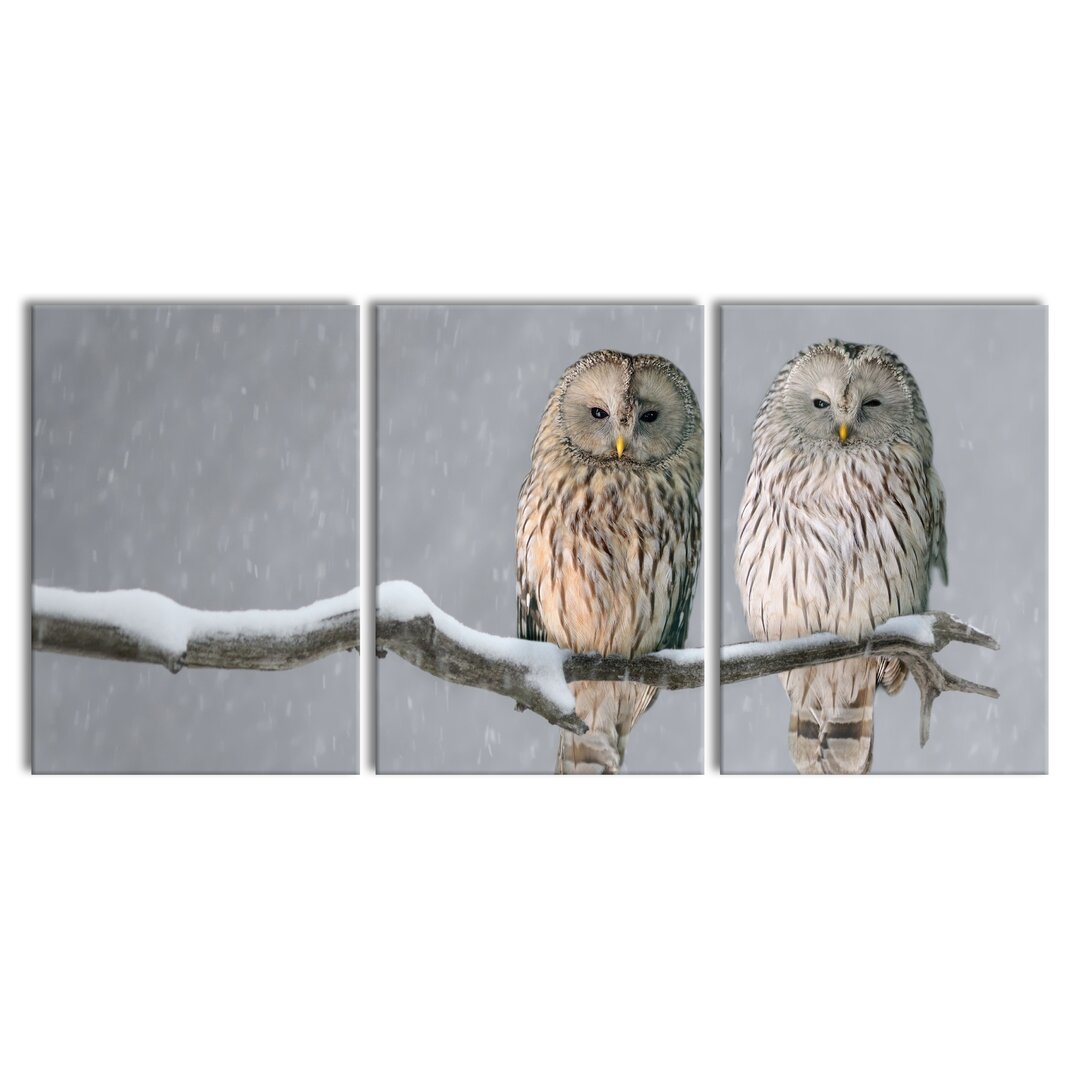 3-tlg. Leinwandbilder-Set Two Owls on a Winter Landscape