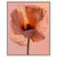 Amber Radiance I Print by Oliver Gal-337204756-337204760