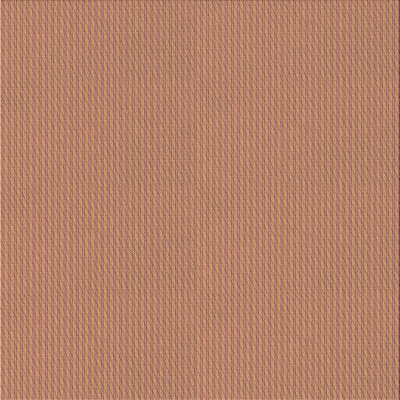 Indoor Rug