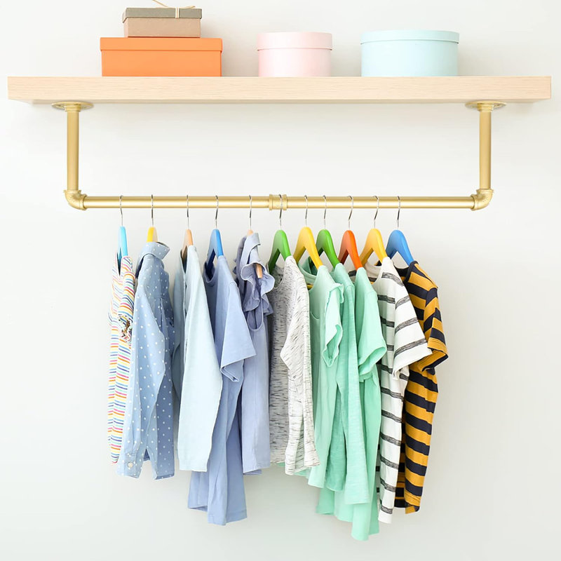 Pavanvir Iron Wall Mounted Clothes Rack