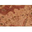 Tapis brun / beige en laine noué à la main de style oriental rectangulaire 8 pi 1 po x 10 pi Baccio