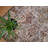 Mirtha Premium EnduraStran Nylon Distressed Rug-1969023183