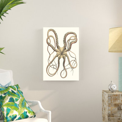 " Antique Octopus Collection IV "