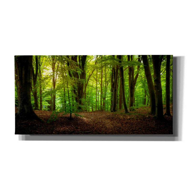 «Summer Forest» par Nicklas Gustafsson, art mural sur toile, 40 po x 20 po, H 12 po x l 24 po x P 0,75 po