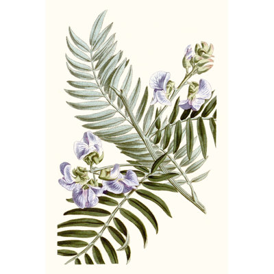 Graceful Botanical IV by Vision Studio - Painting