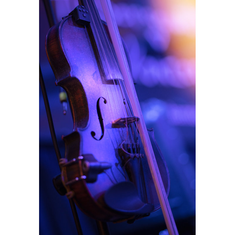 Small Violin by Deepblue4you - Wrapped Canvas Print, 30cm H x 20cm W x 3.8cm D