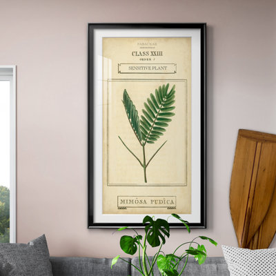 " Linnaean Botany IV " Painting Print