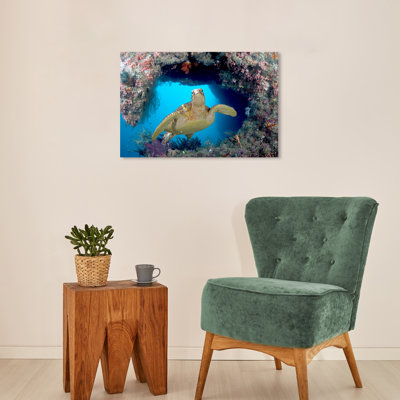 Reproduction d'art sur toile Aarae Animals David Fleetham - Green Sea Turtle III